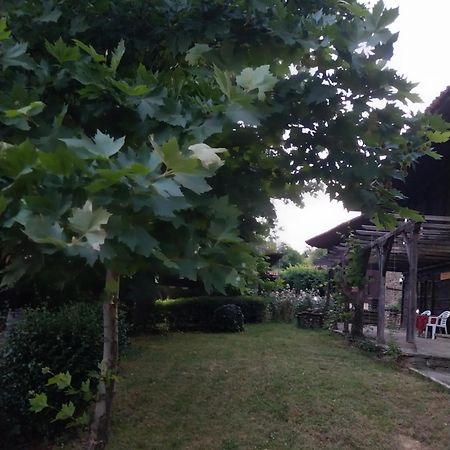 Guest Houses "Zlatna Oresha - Complex" 제라브나 외부 사진