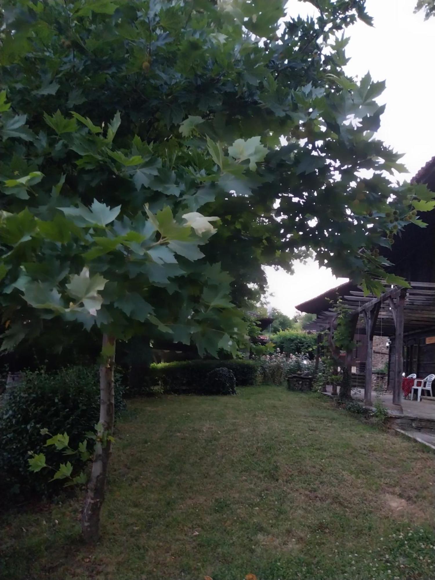 Guest Houses "Zlatna Oresha - Complex" 제라브나 외부 사진